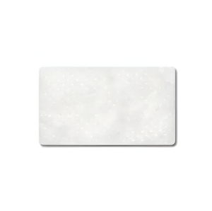 Filtre estàndard per a CPAP AirSense (ResMed)